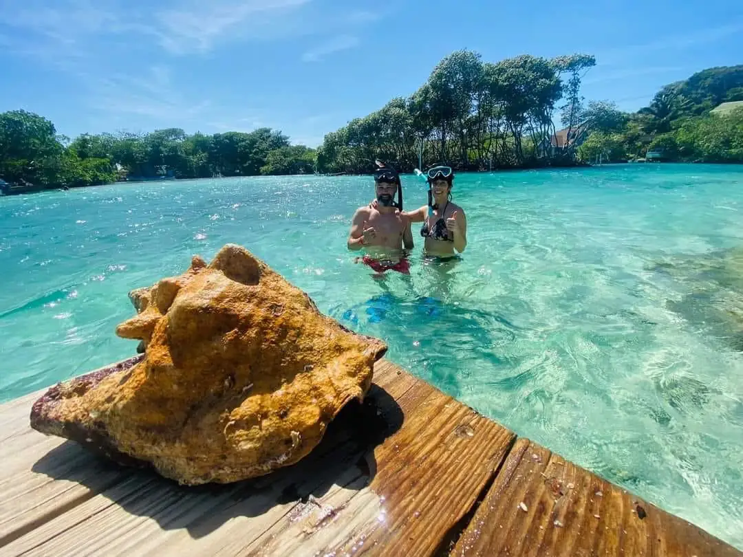 Viajeros haciendo snorkel en aguas turquesa de Roatán
